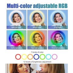 360 Photo Booth - PBM3 - Singl  Light Box